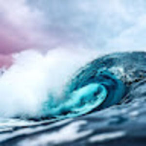 Meet your Posher, Brynn